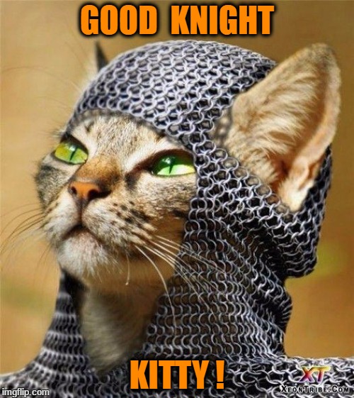 Kitty Knight | GOOD  KNIGHT; KITTY ! | image tagged in kitty knight | made w/ Imgflip meme maker