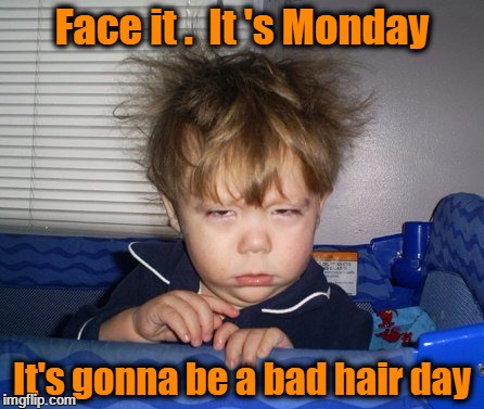 Monday Mornings | Face it .  It 's Monday; It's gonna be a bad hair day | image tagged in monday mornings | made w/ Imgflip meme maker