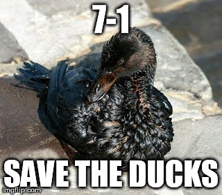 7-1; SAVE THE DUCKS | made w/ Imgflip meme maker