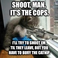 Cat drug addicts | SHOOT, MAN. IT'S THE COPS. I'LL TRY TO SHOOT EM TIL THEY LEAVE, BUT YOU HAVE TO BURY THE CATNIP. | image tagged in cats | made w/ Imgflip meme maker