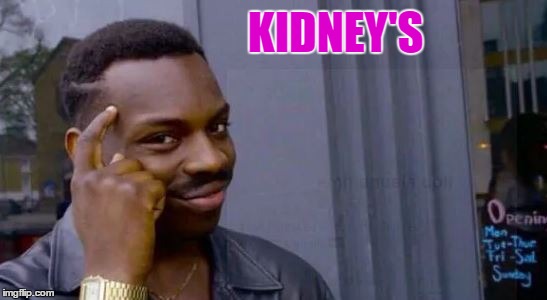 KIDNEY'S | image tagged in brains | made w/ Imgflip meme maker