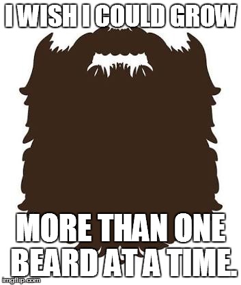 A Bearded man's wish |  I WISH I COULD GROW; MORE THAN ONE BEARD AT A TIME. | image tagged in beard,a bearded man's wish,bearded man,wish,grow | made w/ Imgflip meme maker