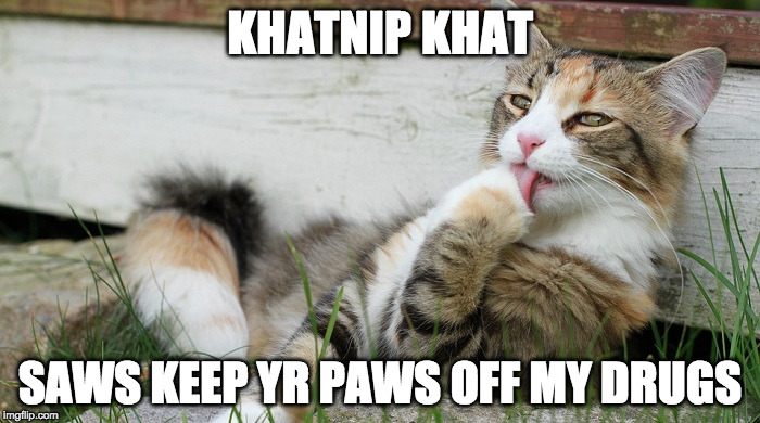 catnip | KHATNIP KHAT; SAWS KEEP YR PAWS OFF MY DRUGS | image tagged in catnip | made w/ Imgflip meme maker
