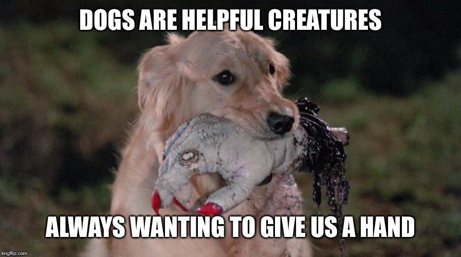A shot from 80's film "House" that I turned into a meme  | DOGS ARE HELPFUL CREATURES; ALWAYS WANTING TO GIVE US A HAND | image tagged in funny,memes | made w/ Imgflip meme maker