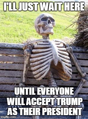 Waiting Skeleton Meme | I'LL JUST WAIT HERE; UNTIL EVERYONE WILL ACCEPT TRUMP AS THEIR PRESIDENT | image tagged in memes,waiting skeleton | made w/ Imgflip meme maker