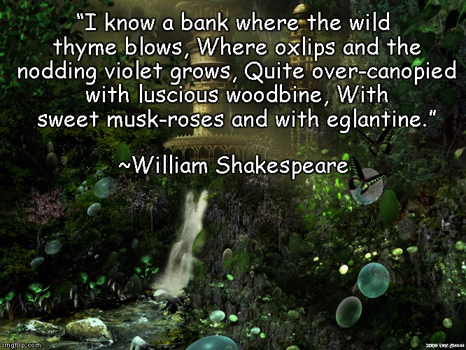 Midsummer Night's Dream | “I know a bank where the wild thyme blows,
Where oxlips and the nodding violet grows,
Quite over-canopied with luscious woodbine,
With sweet musk-roses and with eglantine.”; ~William Shakespeare | image tagged in william shakespeare,night garden,poetry,fairy forest | made w/ Imgflip meme maker