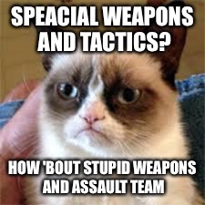 Grumpiest cat | SPEACIAL WEAPONS AND TACTICS? HOW 'BOUT STUPID WEAPONS AND ASSAULT TEAM | image tagged in cops,grumpy cat | made w/ Imgflip meme maker