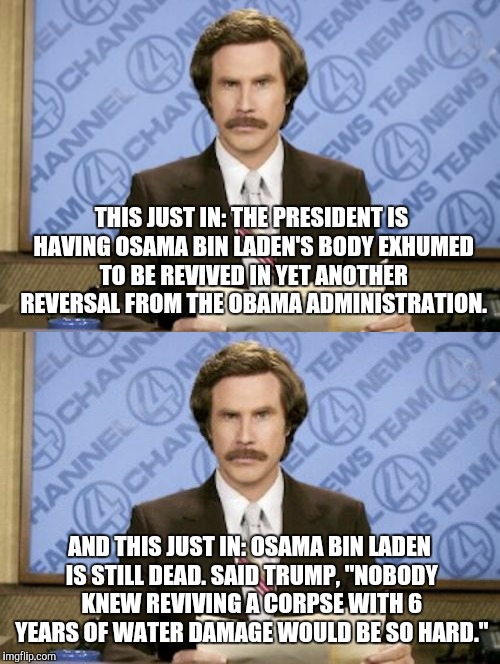 THIS JUST IN: THE PRESIDENT IS HAVING OSAMA BIN LADEN'S BODY EXHUMED TO BE REVIVED IN YET ANOTHER REVERSAL FROM THE OBAMA ADMINISTRATION. AND THIS JUST IN: OSAMA BIN LADEN IS STILL DEAD. SAID TRUMP, "NOBODY KNEW REVIVING A CORPSE WITH 6 YEARS OF WATER DAMAGE WOULD BE SO HARD." | image tagged in memes,ron burgundy,donald trump is an idiot | made w/ Imgflip meme maker