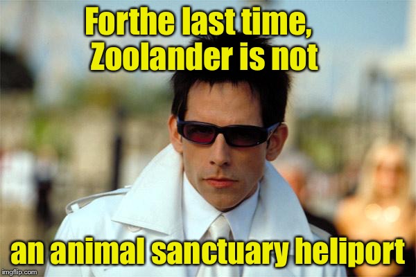 Zoolander Pun | Forthe last time,  Zoolander is not; an animal sanctuary heliport | image tagged in zoolander in sunglasses | made w/ Imgflip meme maker