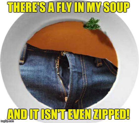 THERE'S A FLY IN MY SOUP AND IT ISN'T EVEN ZIPPED! | made w/ Imgflip meme maker