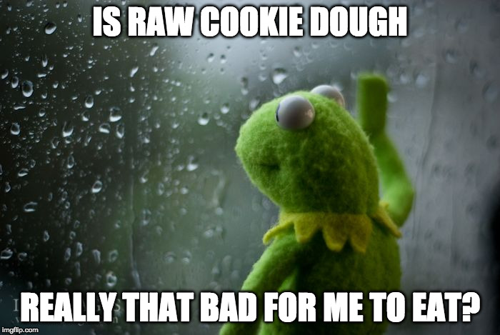 I know it's wrong but it's SOOOO good!!! | IS RAW COOKIE DOUGH; REALLY THAT BAD FOR ME TO EAT? | image tagged in kermit window,cookie dough,eggs,bacon | made w/ Imgflip meme maker