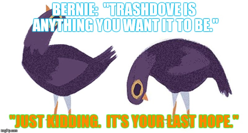 BERNIE:  "TRASHDOVE IS ANYTHING YOU WANT IT TO BE." "JUST KIDDING.  IT'S YOUR LAST HOPE." | made w/ Imgflip meme maker