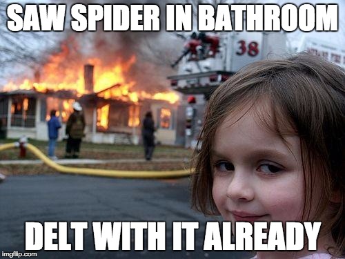 Disaster Girl | SAW SPIDER IN BATHROOM; DELT WITH IT ALREADY | image tagged in memes,disaster girl | made w/ Imgflip meme maker