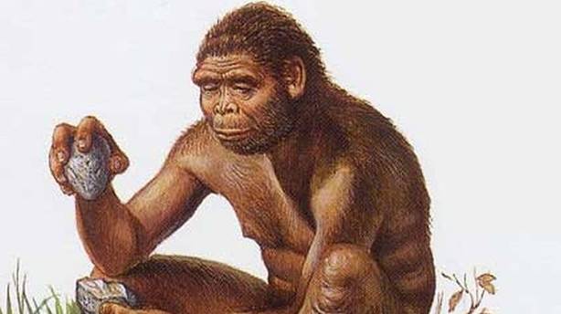 homo erectus Blank Meme Template