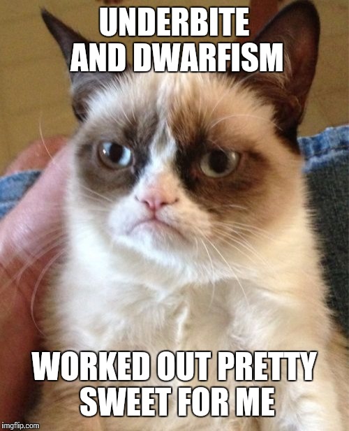 Grumpy Cat Meme | UNDERBITE AND DWARFISM; WORKED OUT PRETTY SWEET FOR ME | image tagged in memes,grumpy cat | made w/ Imgflip meme maker