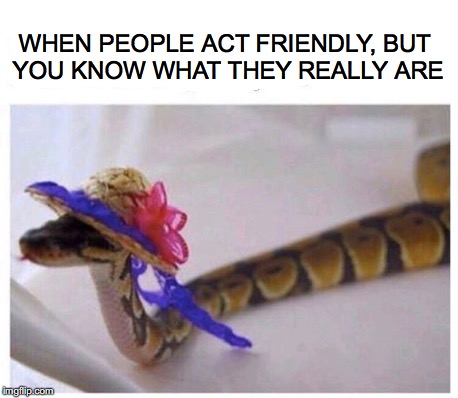 Slough Them Off | WHEN PEOPLE ACT FRIENDLY, BUT YOU KNOW WHAT THEY REALLY ARE | image tagged in false,snake | made w/ Imgflip meme maker