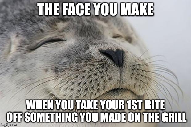 Satisfied Seal Meme | THE FACE YOU MAKE; WHEN YOU TAKE YOUR 1ST BITE OFF SOMETHING YOU MADE ON THE GRILL | image tagged in memes,satisfied seal | made w/ Imgflip meme maker