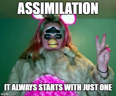 Assimilation | ASSIMILATION; IT ALWAYS STARTS WITH JUST ONE | image tagged in furby,assimilation,borg,wtf | made w/ Imgflip meme maker