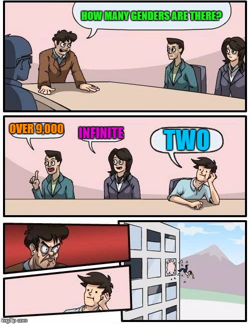 Boardroom Meeting Suggestion Meme | HOW MANY GENDERS ARE THERE? OVER 9,000; INFINITE; TWO | image tagged in memes,boardroom meeting suggestion | made w/ Imgflip meme maker