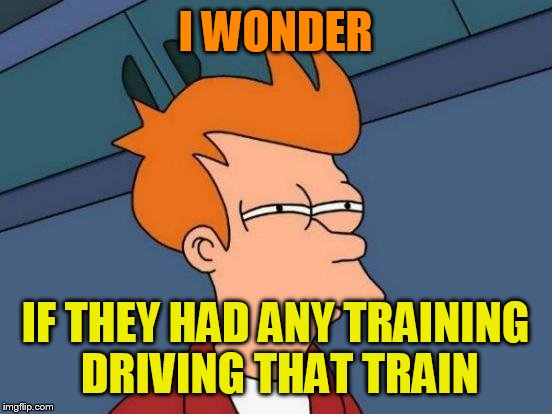 Futurama Fry Meme | I WONDER IF THEY HAD ANY TRAINING DRIVING THAT TRAIN | image tagged in memes,futurama fry | made w/ Imgflip meme maker