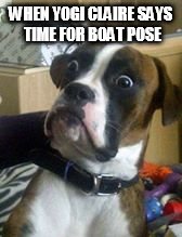 Dogs | WHEN YOGI CLAIRE SAYS TIME FOR BOAT POSE | image tagged in dogs | made w/ Imgflip meme maker