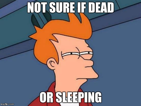 Futurama Fry | NOT SURE IF DEAD; OR SLEEPING | image tagged in memes,futurama fry | made w/ Imgflip meme maker