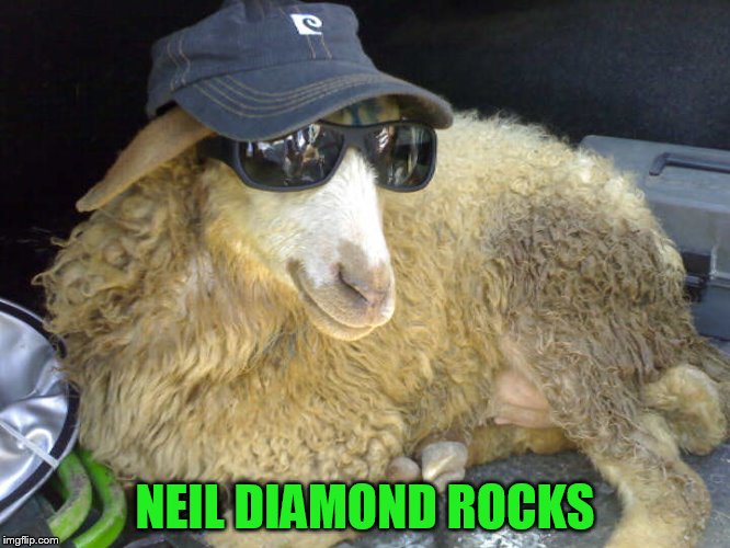 NEIL DIAMOND ROCKS | made w/ Imgflip meme maker