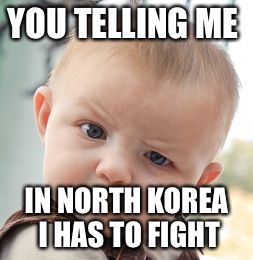 Skeptical Baby | YOU TELLING ME; IN NORTH KOREA I HAS TO FIGHT | image tagged in memes,skeptical baby | made w/ Imgflip meme maker