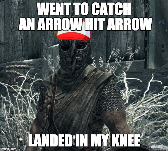 skyrimPokemon | WENT TO CATCH AN ARROW HIT ARROW; LANDED IN MY KNEE | image tagged in skyrimpokemon | made w/ Imgflip meme maker