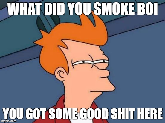 Futurama Fry | WHAT DID YOU SMOKE BOI; YOU GOT SOME GOOD SHIT HERE | image tagged in memes,futurama fry | made w/ Imgflip meme maker