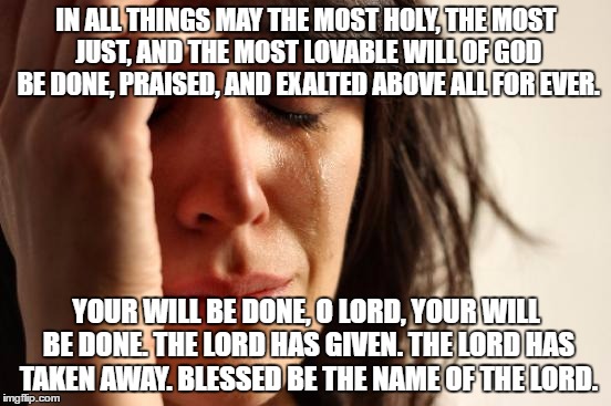 Acceptance of God's Will | IN ALL THINGS MAY THE MOST HOLY, THE MOST JUST, AND THE MOST LOVABLE WILL OF GOD BE DONE, PRAISED, AND EXALTED ABOVE ALL FOR EVER. YOUR WILL BE DONE, O LORD, YOUR WILL BE DONE. THE LORD HAS GIVEN. THE LORD HAS TAKEN AWAY. BLESSED BE THE NAME OF THE LORD. | image tagged in memes | made w/ Imgflip meme maker