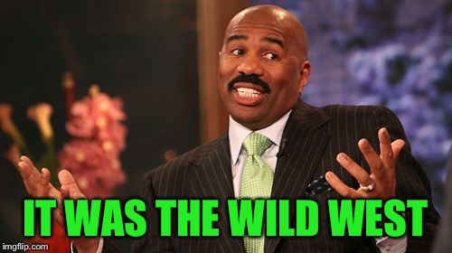 Steve Harvey Meme | IT WAS THE WILD WEST | image tagged in memes,steve harvey | made w/ Imgflip meme maker