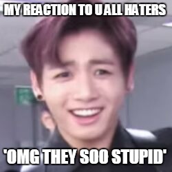 bts | MY REACTION TO U ALL HATERS; 'OMG THEY SOO STUPID' | image tagged in bts | made w/ Imgflip meme maker
