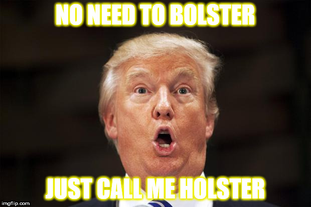 Holster  | NO NEED TO BOLSTER; JUST CALL ME HOLSTER | image tagged in holster | made w/ Imgflip meme maker