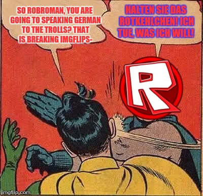 Problem Imgflip? :) | SO ROBROMAN, YOU ARE GOING TO SPEAKING GERMAN TO THE TROLLS? THAT IS BREAKING IMGFLIPS-; HALTEN SIE DAS ROTKEHLCHEN! ICH TUE, WAS ICH WILL! | image tagged in memes,batman slapping robin,i can speak other languages,i don't care imgflip | made w/ Imgflip meme maker