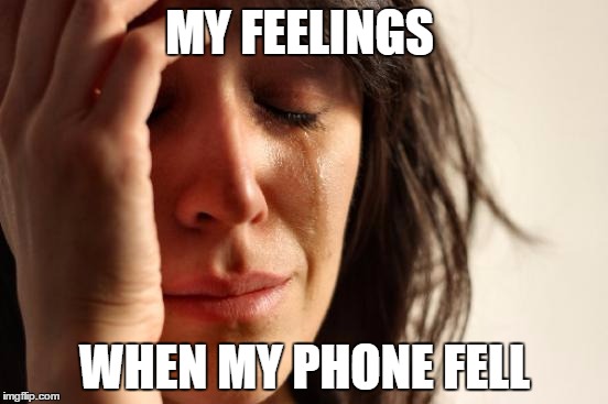 First World Problems Meme | MY FEELINGS; WHEN MY PHONE FELL | image tagged in memes,first world problems | made w/ Imgflip meme maker