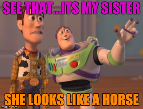 X, X Everywhere Meme | SEE THAT...ITS MY SISTER; SHE LOOKS LIKE A HORSE | image tagged in memes,x x everywhere | made w/ Imgflip meme maker