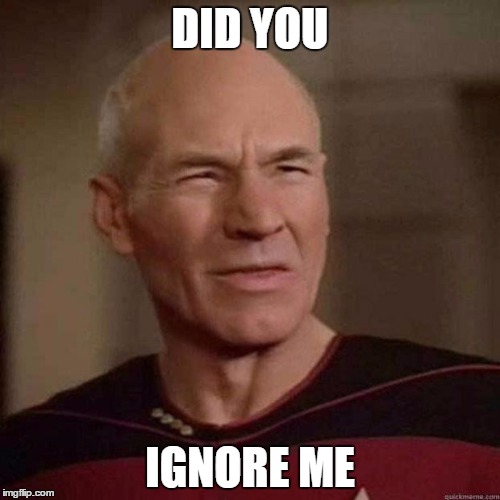 Dafuq Picard | DID YOU; IGNORE ME | image tagged in dafuq picard | made w/ Imgflip meme maker