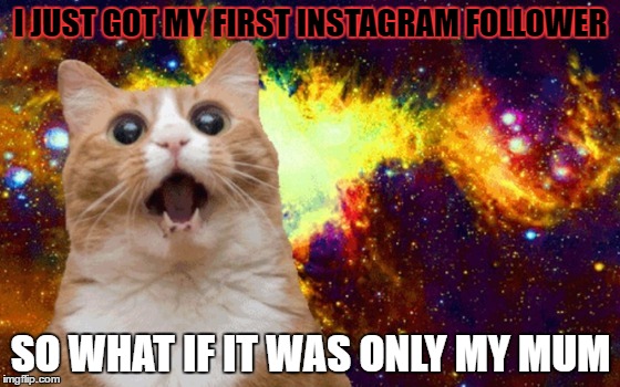 Mind Blown cat | I JUST GOT MY FIRST INSTAGRAM FOLLOWER; SO WHAT IF IT WAS ONLY MY MUM | image tagged in mind blown cat | made w/ Imgflip meme maker