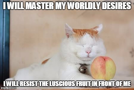 I WILL MASTER MY WORLDLY DESIRES I WILL RESIST THE LUSCIOUS FRUIT IN FRONT OF ME | made w/ Imgflip meme maker