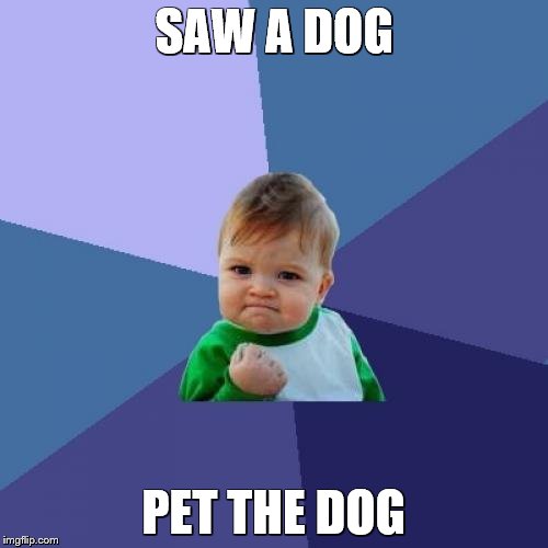 Success Kid Meme | SAW A DOG; PET THE DOG | image tagged in memes,success kid | made w/ Imgflip meme maker