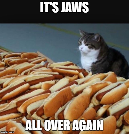 Cat hotdogs | IT'S JAWS; ALL OVER AGAIN | image tagged in cat hotdogs | made w/ Imgflip meme maker