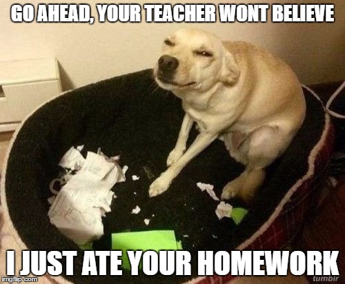 She wont believe you | GO AHEAD, YOUR TEACHER WONT BELIEVE; I JUST ATE YOUR HOMEWORK | image tagged in dog homework | made w/ Imgflip meme maker