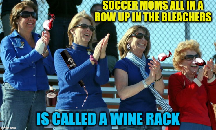 Like wine they are all 12%abv and smell of cheese... except they don't get better with age.  | SOCCER MOMS ALL IN A ROW UP IN THE BLEACHERS; IS CALLED A WINE RACK | image tagged in soccer mom,drink copious amounts of wine,memes,funny,sports fans | made w/ Imgflip meme maker