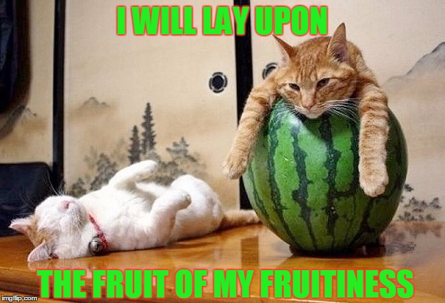 I WILL LAY UPON THE FRUIT OF MY FRUITINESS | made w/ Imgflip meme maker