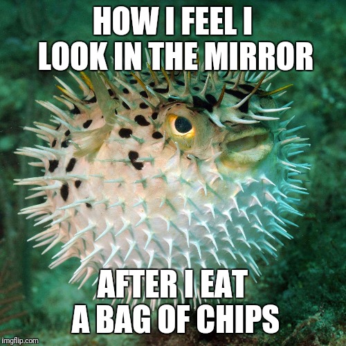 That look | HOW I FEEL I LOOK IN THE MIRROR; AFTER I EAT A BAG OF CHIPS | image tagged in memes,funny memes,unpopular opinion puffin,humor,mirror,that look | made w/ Imgflip meme maker