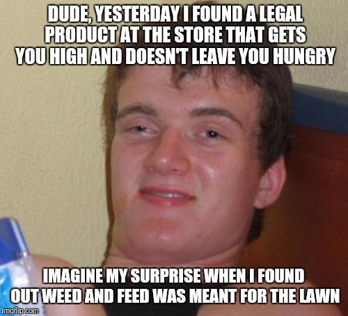 10 Guy | DUDE, YESTERDAY I FOUND A LEGAL PRODUCT AT THE STORE THAT GETS YOU HIGH AND DOESN'T LEAVE YOU HUNGRY; IMAGINE MY SURPRISE WHEN I FOUND OUT WEED AND FEED WAS MEANT FOR THE LAWN | image tagged in memes,10 guy | made w/ Imgflip meme maker
