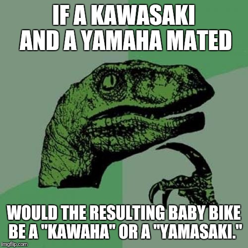 Philosoraptor | IF A KAWASAKI AND A YAMAHA MATED; WOULD THE RESULTING BABY BIKE BE A "KAWAHA" OR A "YAMASAKI." | image tagged in memes,philosoraptor | made w/ Imgflip meme maker