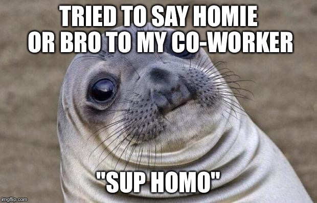 Awkward Moment Sealion Meme | TRIED TO SAY HOMIE OR BRO TO MY CO-WORKER; "SUP HOMO" | image tagged in memes,awkward moment sealion | made w/ Imgflip meme maker