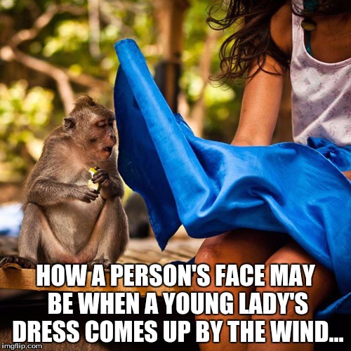 HOW A PERSON'S FACE MAY BE WHEN A YOUNG LADY'S DRESS COMES UP BY THE WIND... | image tagged in people's faces | made w/ Imgflip meme maker